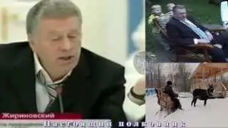 А. Пугачёва против Жириновского - 20.04.13.