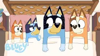 Retrete | Bluey Español Canal Oficial