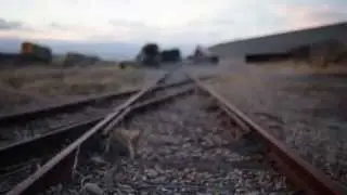 STOCK HD: Train tracks - focus pull