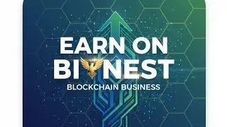 Earn on Bitnest Blockchain Business 