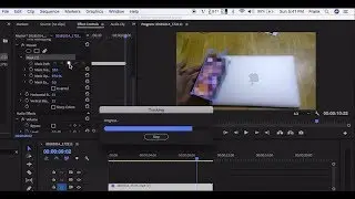 ✅ How to auto tracking censor subject by Adobe Premiere