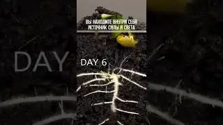 3 червня 2024 р.