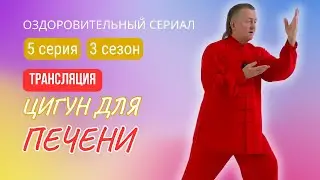 💥 ЦИГУН ДЛЯ ПЕЧЕНИ И ЖЕЛЧНОГО ПУЗЫРЯ | 5 серия. 3 сезон. Оздоровительный сериал Виктора Стерликова