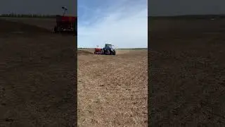 Уверенный посев #shorts