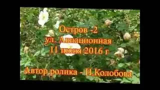 Остров- 2  ул.  Авиационная
