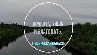 Река Демьянка
