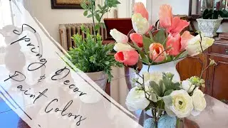 Spring Decor & Possible Paint Colors! - Vlog 19 - Home Vlog