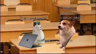 мои обычные допы по истории #мемныекоты