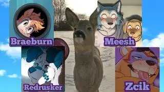 Furry Artists: Underrated or Overrated?