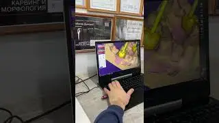 Стоматологическое искусство