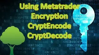 Things you need to know about using encryption in Metatrader programming