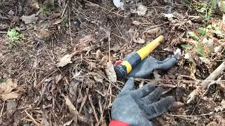 В поиске старого хутора. Старинные находки  в непроходимом лесу!