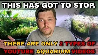 EVERY AQUARIUM VIDEO Falls Into ONE OF 2 TYPES & it is FAILING Aquarists & Fishkeepers All Over.