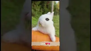 A beautiful moment 