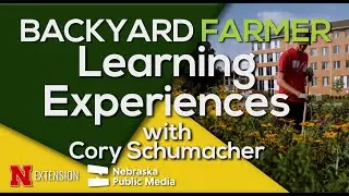 Learning Experiences