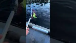 Щука Карелия.