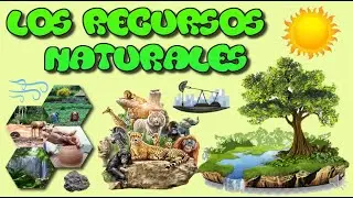 Los recursos naturales para niños