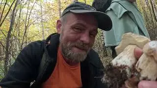 💥Під кінець ПРОСТО ВИБУХ🤪ЕМОЦІЙ! 🍄🍄🍄 27-е неділя Знову з ГРИБАМИ! Лізуть МОЛОДІ БІЛІ ГРИБИ!