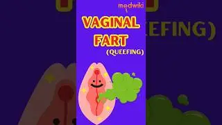 Vaginal Fart (Queefing). 