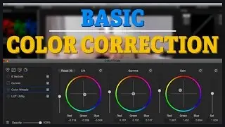 Basic Color Correction | Magic Bullet / After Effects CC Tutorial