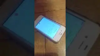 Планка 3 минуты мама чемпион