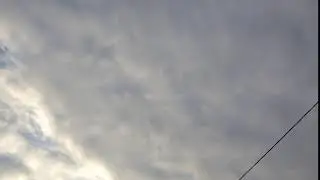 птицы улетают...