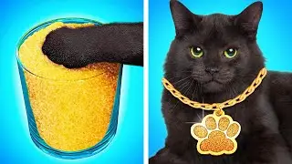 DIE BESTEN HAUSTIER-GADGETS & HACKS, DIE JEDER KENNEN SOLLTE