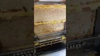 Распечатка медовых рамок , станок медуница !