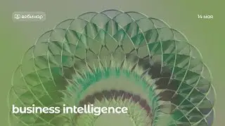 Business Intelligence (BI)