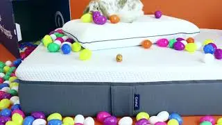 So läuft der Hase!