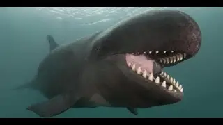 10 awesome hybrid animals that actually exist | Part 1