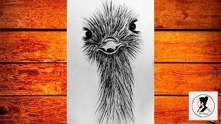 Ostrich pencil art 2020
