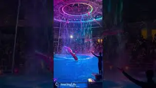 Dolphin Show @ Tokyo