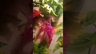лего динозавры