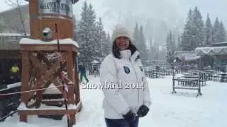 Snowbird 2014