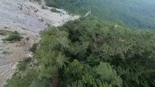 AI-PETRY FPV
