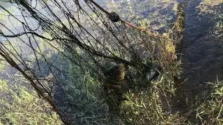 NEW OWLs IN THE LAKE! GOOD CATCH!