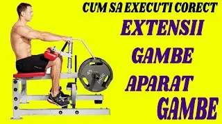 Extensii gambe la aparat - Cum sa executi corect !