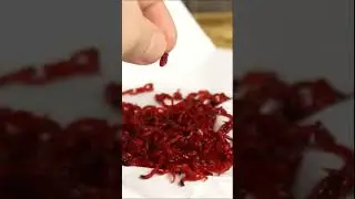 Как хранить мотыля для зимней рыбалки 