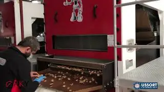 Ceviz Boylama ve Kırma Tesisi, Gaziantep - AKY Technology