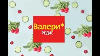 Акция от Райк Цваан на редис Валери F1
