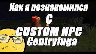 Как я познакомился с CUSTOM NPC. Интервью с Centryfuga [Выжженная земля]