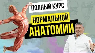 Anatomy Education - о полном курсе нормальной анатомии