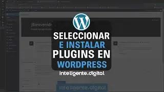 Como instalar y seleccionar plugins en wordpress 2024