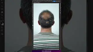 Herramienta movimiento con detección de contenido en 