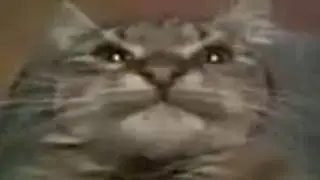 тик ток, который понравится всем! 2