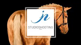[Behind the scenes] Pferdestudiofotoshooting