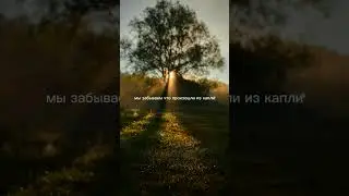 Не переживайте о мусульмане из-за того что ещё не произошло...!!!