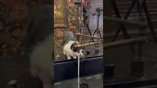 Behind the Scenes