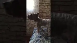 Когда дома ты только одна певица